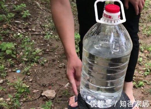 生活技巧:空桶的神奇利用作用!看完发现生活原来很有趣!