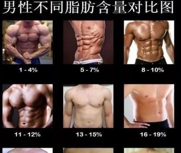 胰岛素|腹肌是怎样炼成的4招让你“体脂率”降到11％，轻松秀出腹肌