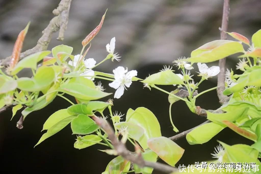 从江：悠悠清风，暖暖日光