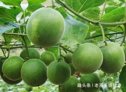 咳嗽痰|立秋后,咳嗽痰多,不要慌!常用此果泡水,润肺止咳,胜过止咳药