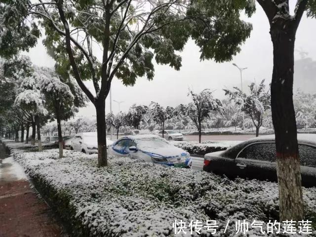 雪景|惊艳！平凉迎来入秋第一场雪，刷爆朋友圈！