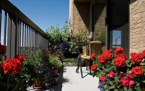 小花园|为了养花种菜,奶奶花160万买了郊区的别墅,3年之后,后悔了