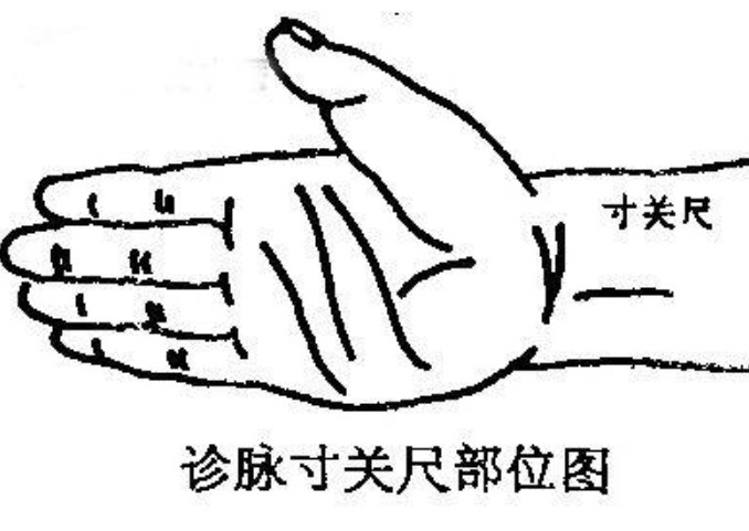 脉象的变化|把脉看怀孕是看“滑脉”,青壮年也可能有这种脉象,到底准不准?