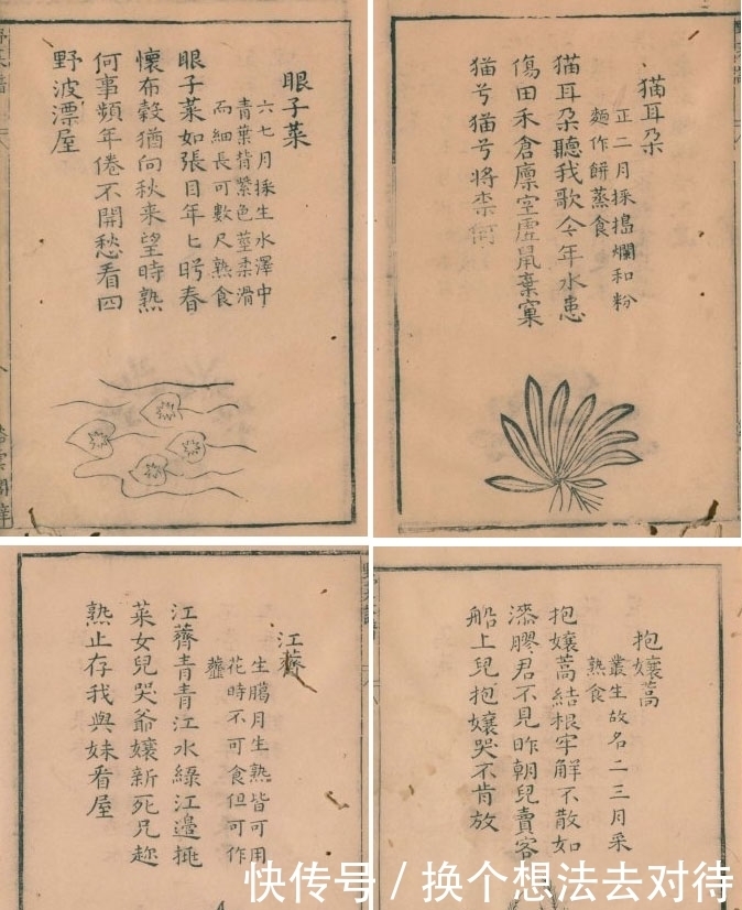 黄渤爱吃野菜,但野菜怎么做?得看汪曾祺!|青书单| a8748