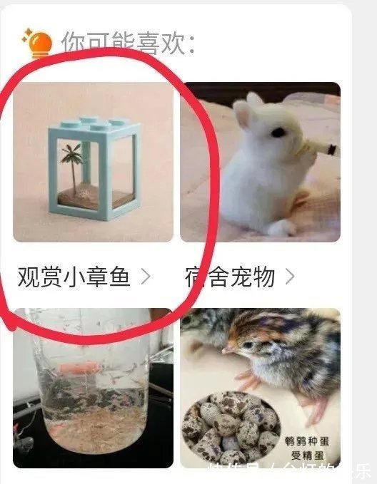 |今日段子:王者健康系统,遭遇史诗级加强后的男初中生!