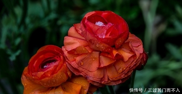 记住|老祖宗酒桌识人术:记住三个口诀,帮你轻松看穿一个人