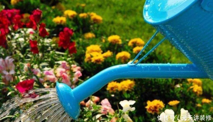 糟蹋|养花不懂得浇水的技巧,只会白糟蹋钱和植物