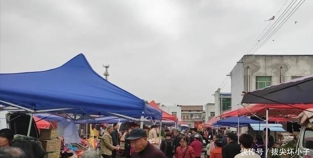 陕西秦岭藏一集市，动不动就上万人，到底有啥吸引人的，去了才知