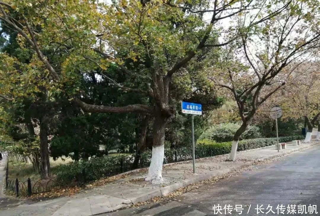  路枫|嘉峪关路枫之情