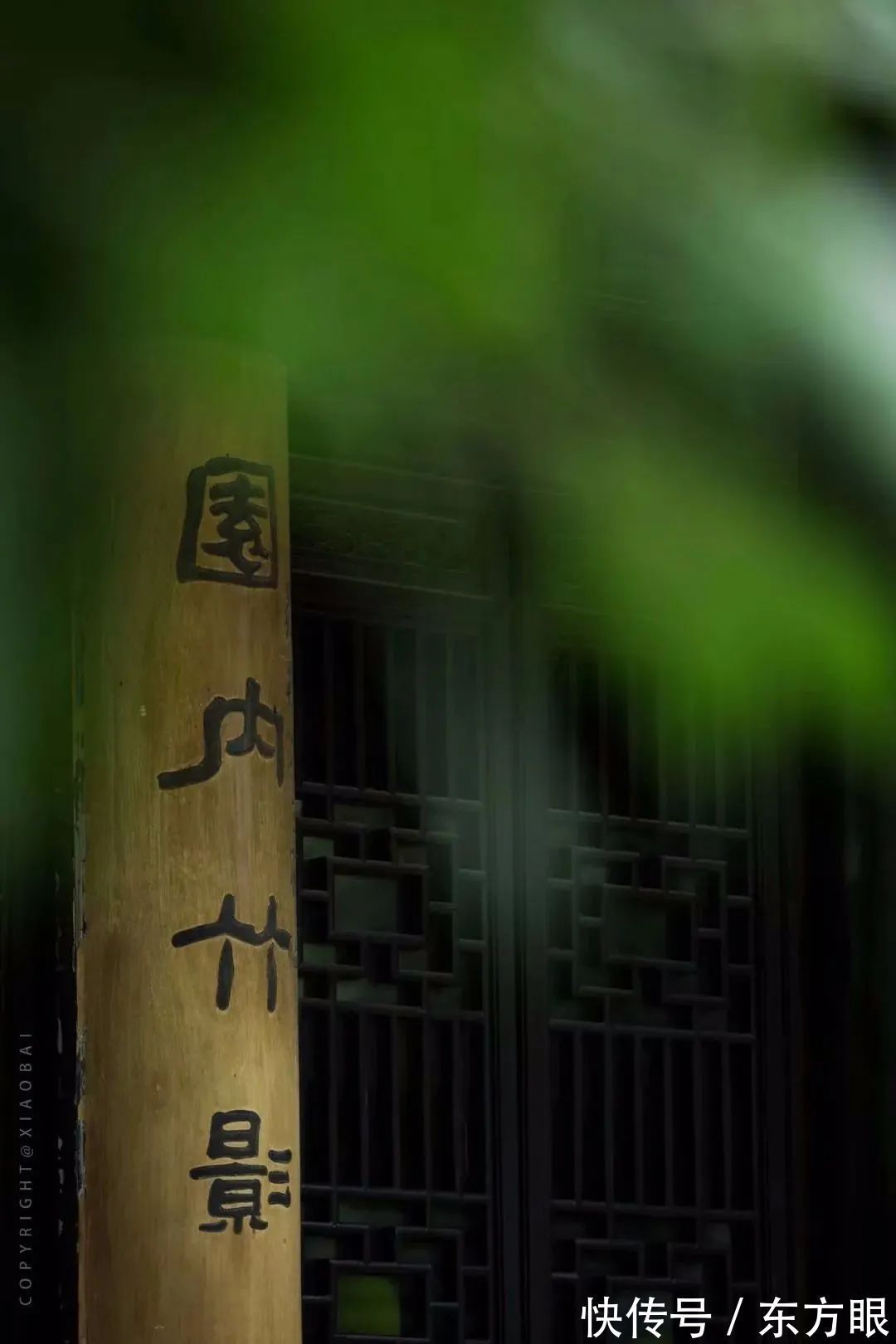 严歌苓&在岁月中修养自己!(深度)