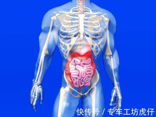 养胃|养胃“三分治七分养”，这几种食物效果好，肠胃不好的人要注意