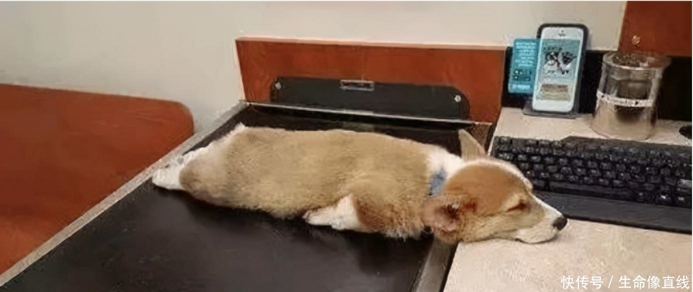 墓地|“千人挣钱,不如一人睡觉”,难道睡觉也赚钱?别理解错了