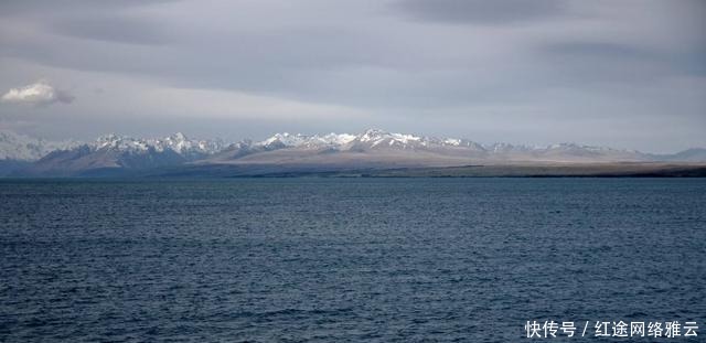网络小说|让人念念不忘的网络小说金句 , 你所之的还有哪些