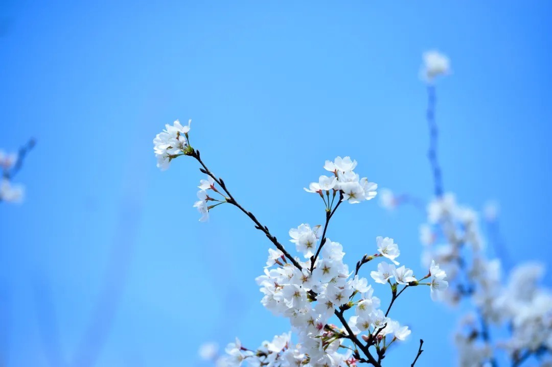 五脏|为什么有些人貌似健康,反而不长寿?