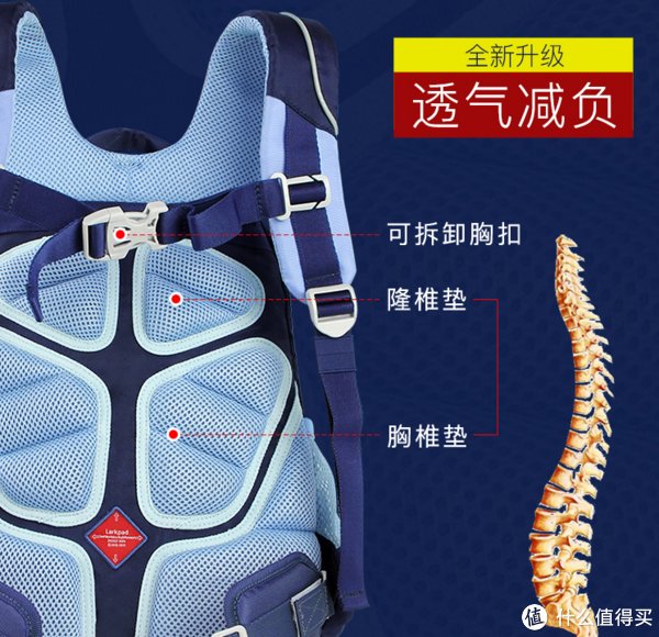 文具|日常生活 篇三十八：开学新姿势之小学生用得到的收纳好物。