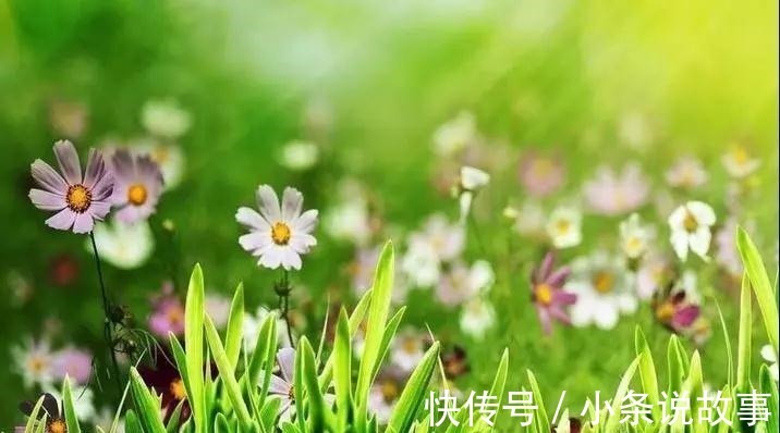 粉红色|旺自己,旺夫,旺婆家的4大生肖女,越老越有魅力,天生凤凰命