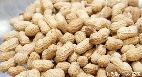 常吃花生比药强!生吃和熟吃,哪个营养价值高?了解一下