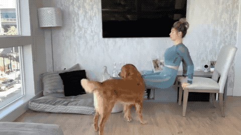 全身性|全身性燃脂训练，这5个动作帮你高效燃脂、快速瘦身