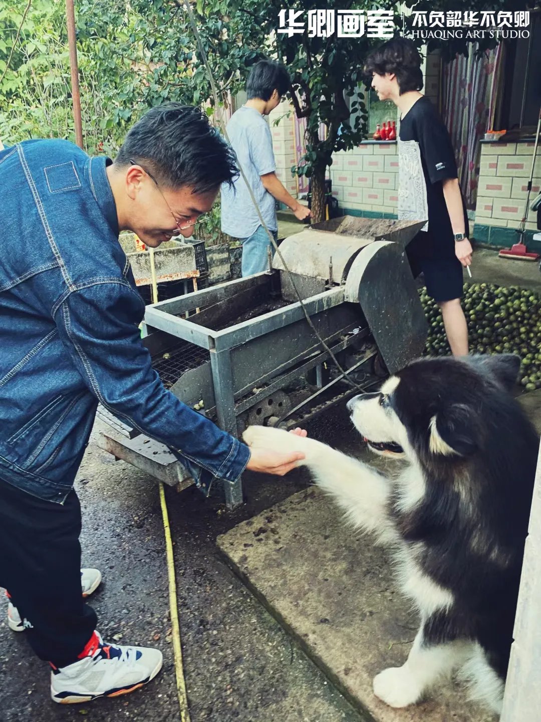 高乐雅！一眼沦陷这样绝美的秋色看完不得不爱！华卿国画定向班写生作品展