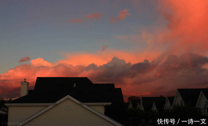 我的世界竹和风