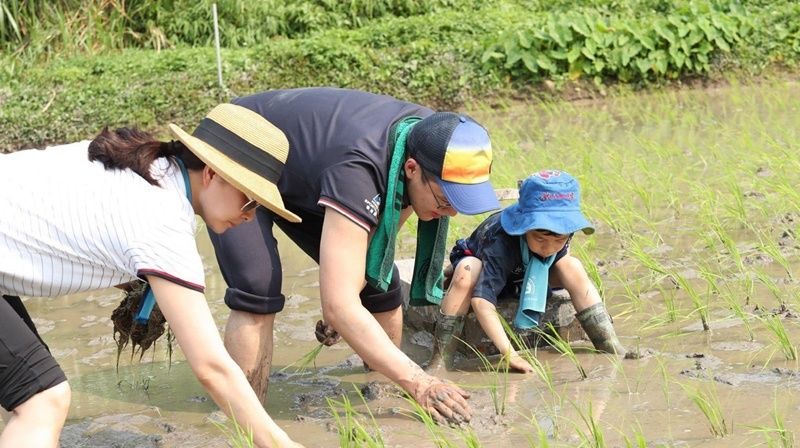 手机|沉迷于“垃圾快乐”的孩子,对大脑的伤害可不是一点半点,要重视