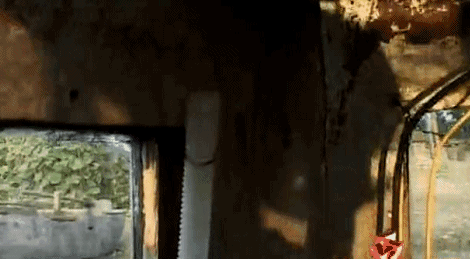 石磨|手搓潜水艇、脚踩机器人,央视的综艺才是玩得最野的那个