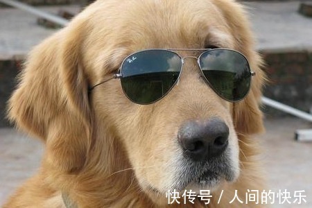 |10条超搞笑的段子,忍不住笑出声来(太好玩了)