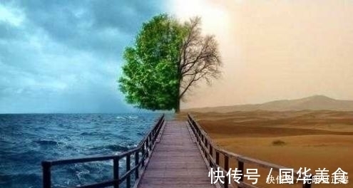 译文！千古奇书《守弱学》译文,教你大智若愚,智慧一生