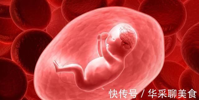 智力|孕期抓住胎儿大脑发育3个“高峰期”,宝宝出生后,智商只高不低