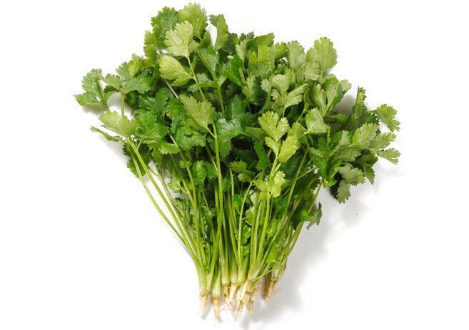 香菜很多人爱吃,却不知道有这样的副作用,吃香菜的好处和禁忌