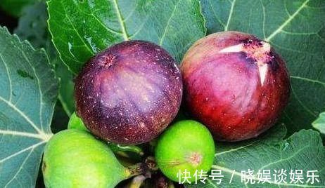 氨基酸|人到中年,适合常吃3种食物,疏通血管,补血护肤,安神助睡眠