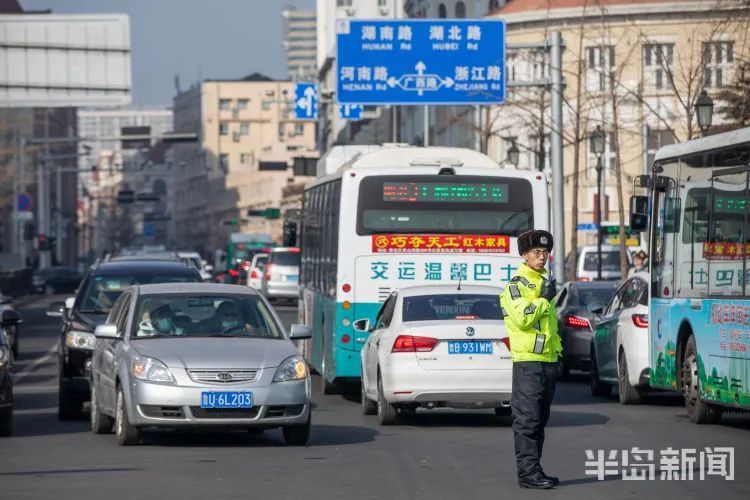 青岛栈桥的人啊…怎么形容呢！网友举着馒头大半天，都没喂出去！海鸥：真吃不下了