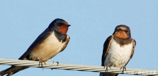 话语|农村俗语说:宅子有三喜,家中出才人,是什么意思,有何讲究呢