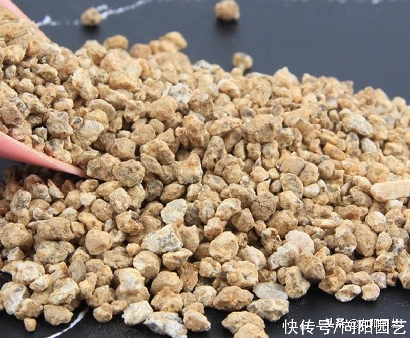 新手|多肉养护大全，新手必备，教你配土，修根，浇水，不愁养不好