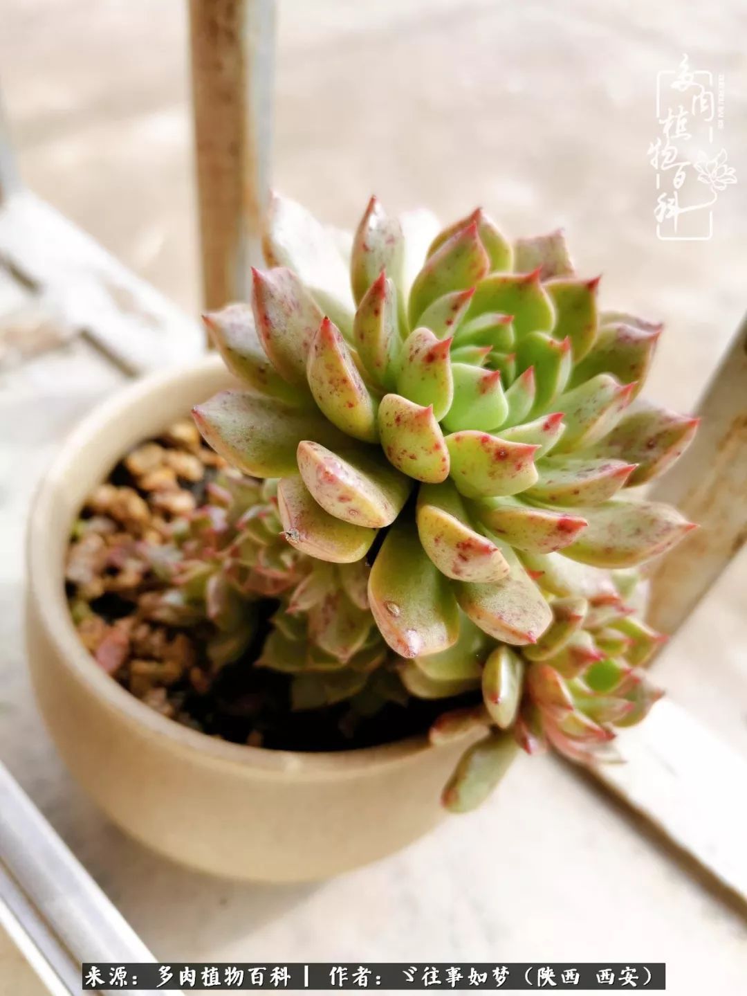 愿你付出甘之如饴,愿你所得归于欢喜!