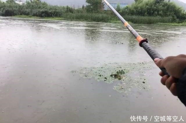 不知道用七星漂还是立漂,看完这篇就知道了