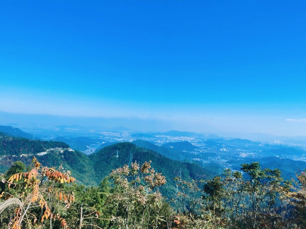 称号|萧山区获评“中国天然氧吧”称号