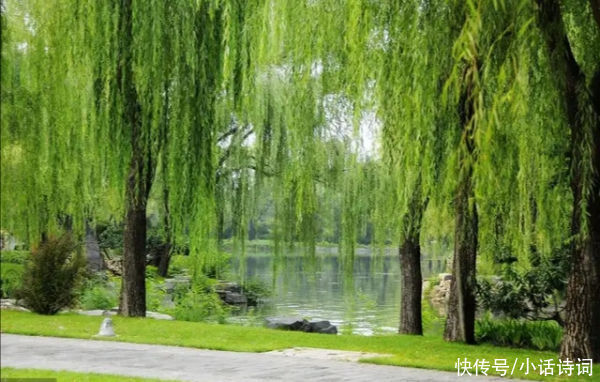 柳树$咏柳诗词何其多,而王观的这首咏柳词却能脱颖而出,它好在哪里?