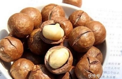 野果子|这种野果子一斤要卖上百元,很少人知道它怎么长的