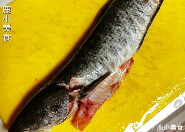 春季碰到这鱼必买一条,比甲鱼滋补,比鲫鱼营养,炖汤鲜又甜