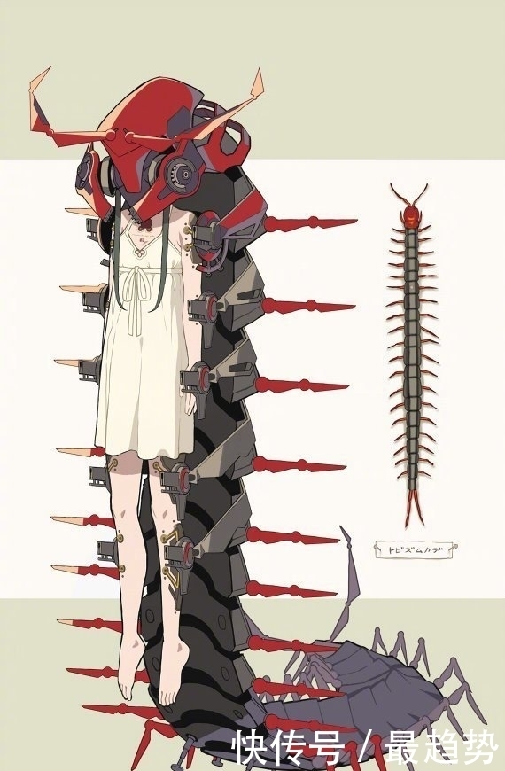 昆虫 机械 美少女 这位画师的拟人化 实属 惊艳 快资讯