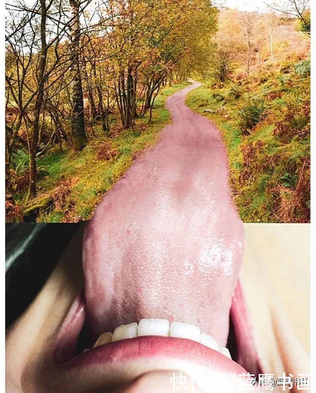 作品|卡瓦略的创意作品,给大家呈现了耐人寻味的视觉效果,引人关注