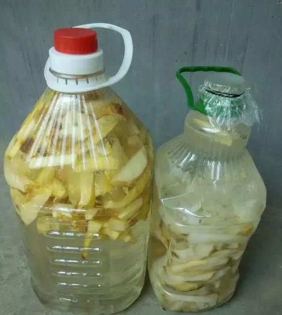 这四种酸水浇花,1个月浇一次,叶子浓绿、开花稠密