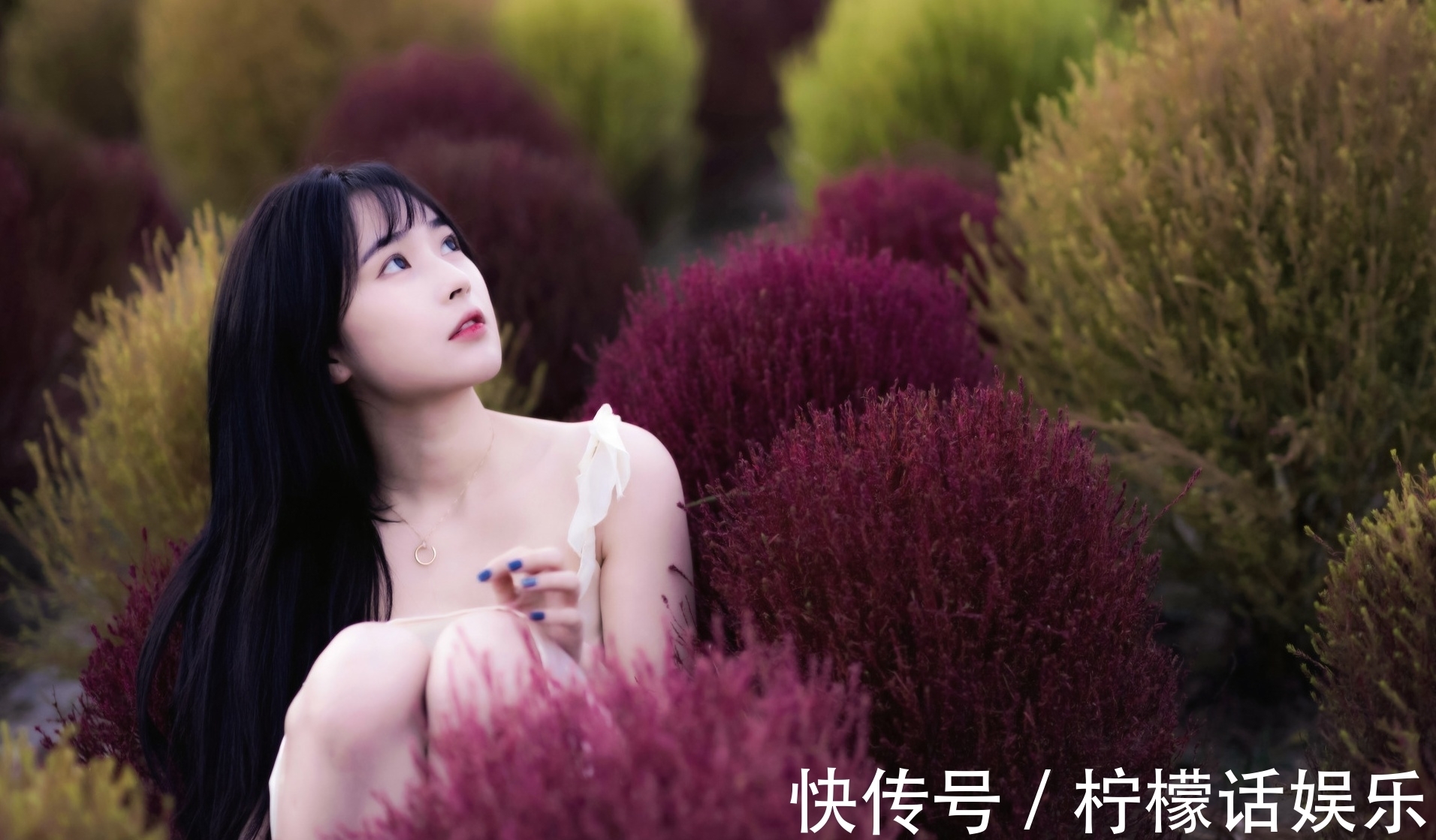 诗心$诗·十二首丨人近丛林惊鹊鸟,菊斟满盏煮诗心