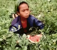 |搞笑GIF:你朋友圈里嗮旅游的,并不一定就是真的呦!