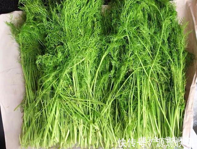 食用油|做素馅饺子时,别只会放鸡蛋,多加“1样”,比肉饺子还香