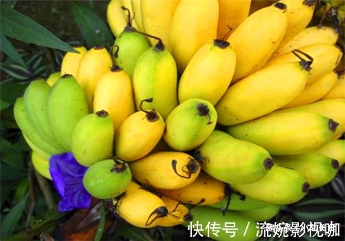 鱼籽|聪明的女性都在吃4种食物,排毒护肤,刮油消脂,清理体内毒素