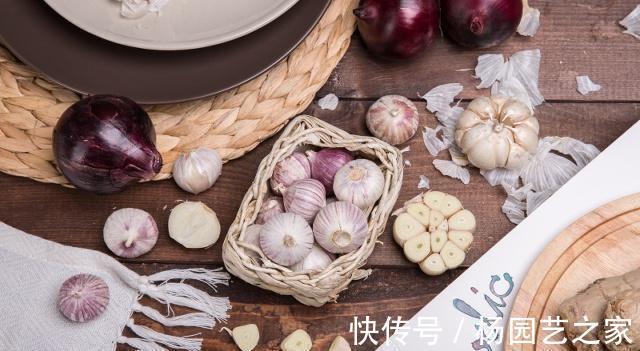 黑木耳|得了血栓先别慌,多吃3种天然“阿司匹林”,有助于清理血管垃圾