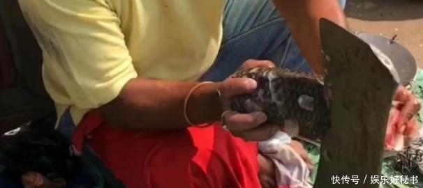 杀生|印度人卖鱼讲究不杀生,鱼全是自己往刀上撞的,不信来问问这鱼