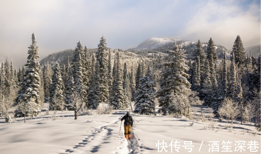 一段感情|不懂得收敛情绪的星座，情绪来就会控制不住，有的甚至会伤感